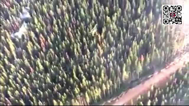 INCENDI ARTIFICIALI FUNZIONALI ALL'EMERGENZA CLIMATICA