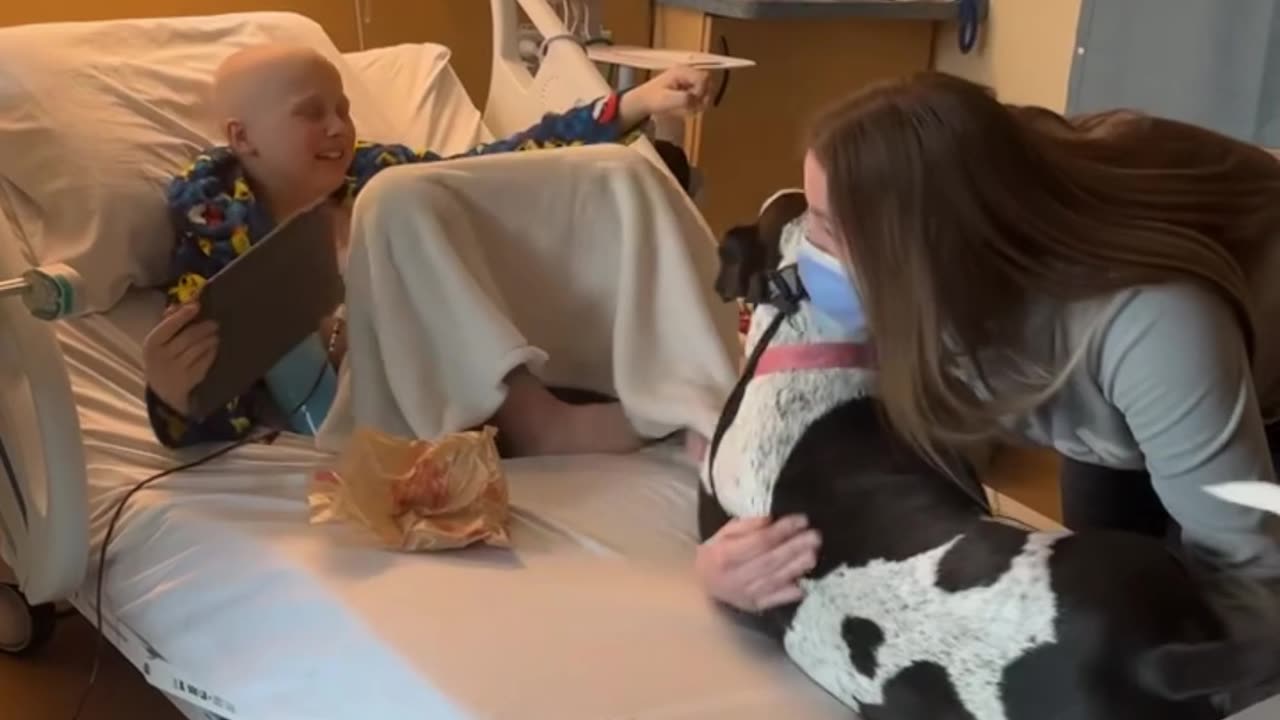 Boy with Cancer Reunited with His Dog in Hospital 💖 | Emotional Moment of Love and Comfort