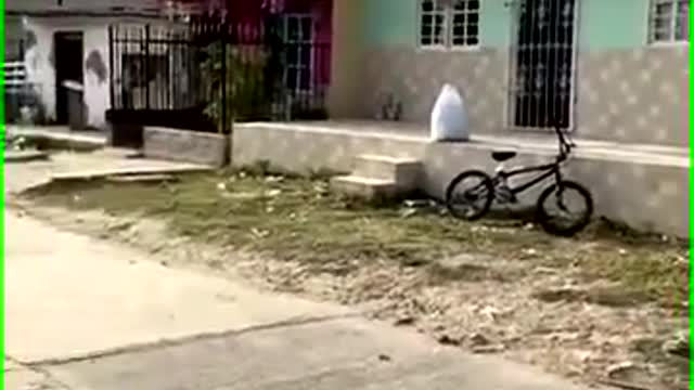 Very funny video😁😁😁