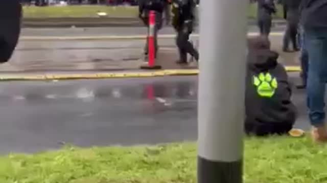 Stand your ground