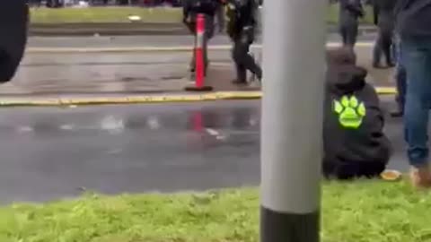 Stand your ground