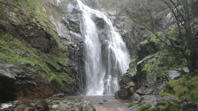 Waterfalls In the Forest