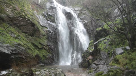 Waterfalls In the Forest