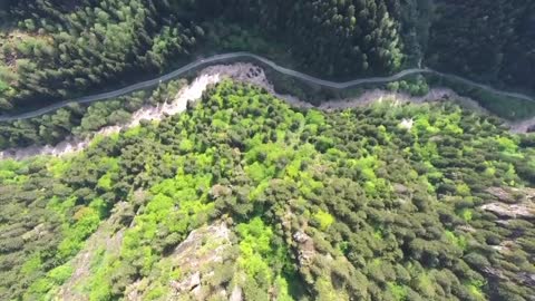 Relaxing Music | Sleeping, Meditation, Stress Relief | [1572] ⭐️