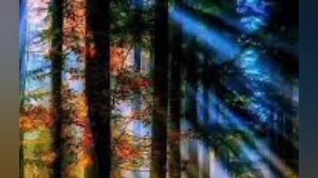 Calmer L'anxiété Naturellement- Musique Relaxante pour Déstresser