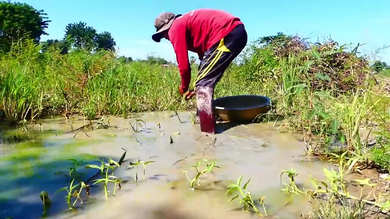 amazing fishing! a lots of fish in my special place this time catch by a fisherman skill by hand-7