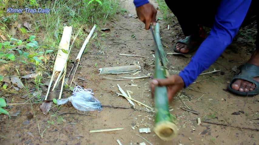 Easy Wild Cat Trap Make From Bamboo - How to catch cats