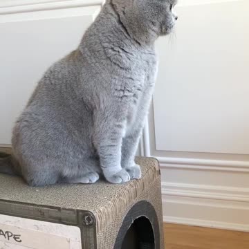 Where is my Ride 🚁