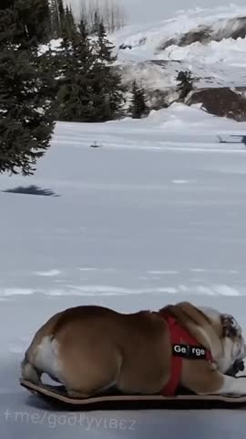 That’s RAD George 👍👍👍