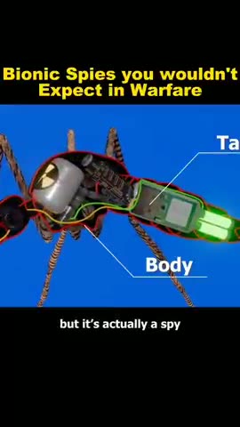 Οι πόλεμοι άλλαξαν: Στρατιές βιονικών… κατασκόπων σε μέγεθος εντόμων !