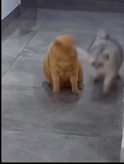 He didn't get a chance to fight back loool