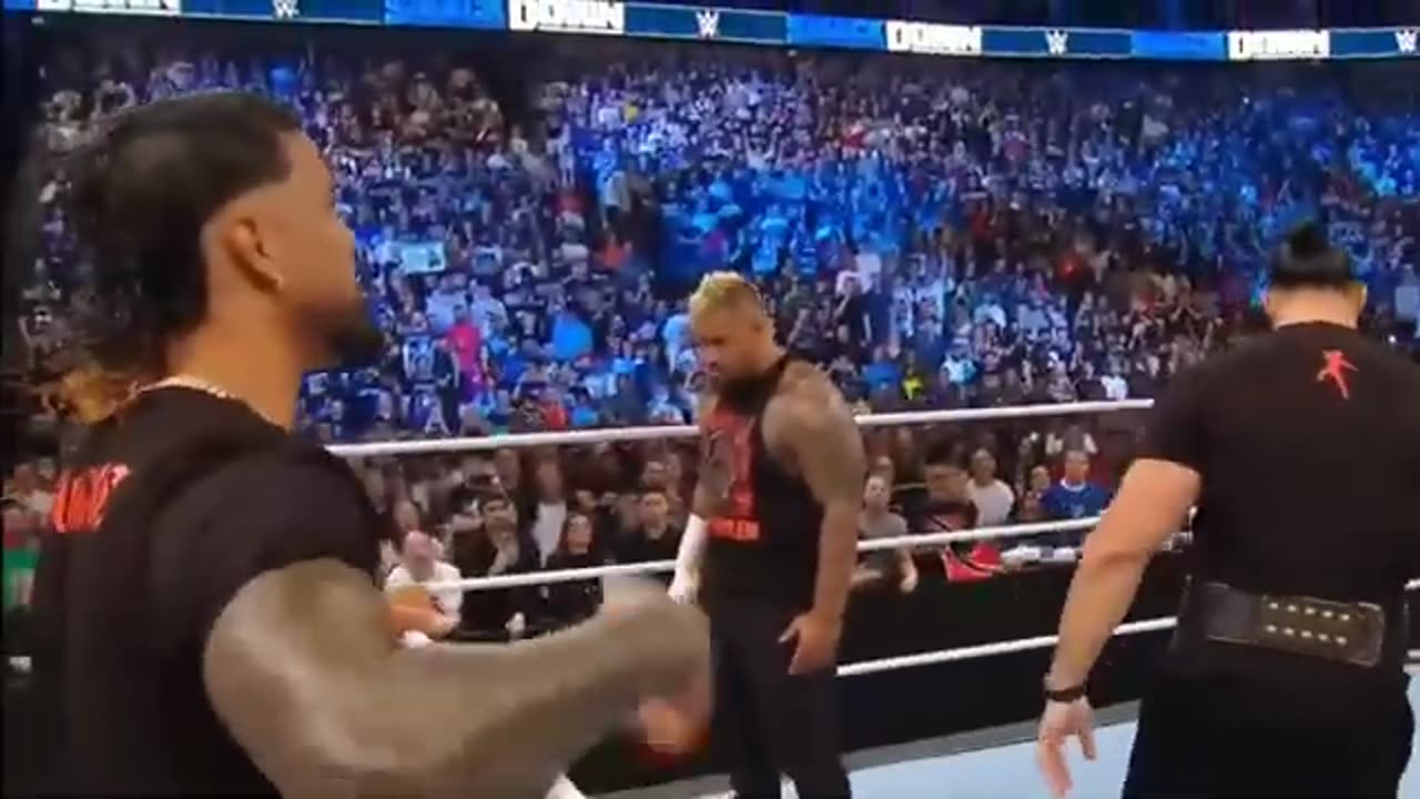 WWE please like your comment