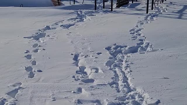 2 ft high snow at the playground!