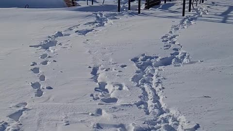 2 ft high snow at the playground!