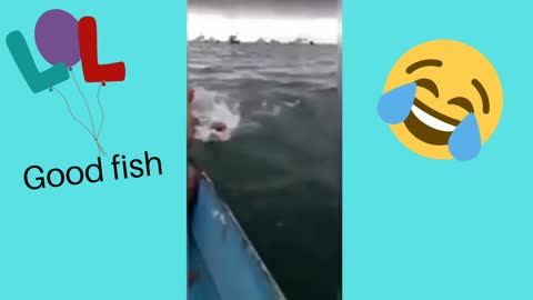 What a strange fish