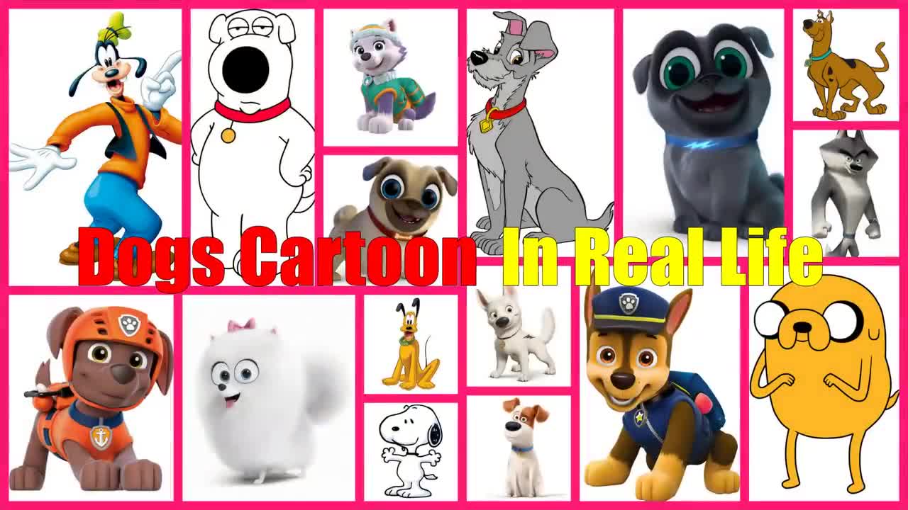 🐶 Dogs Cartoon IN REAL LIFE 💥 All Characters 👉