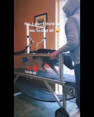 Wanna go for a run boy?