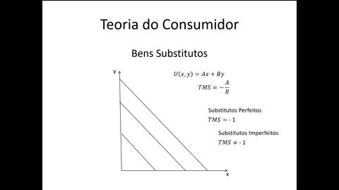 Microeconomia 024 Teoria do Consumidor Bens Substitutos e Complementares