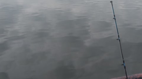 Kissena lake