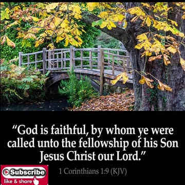 Morning Prayer of Fellowship #youtubeshorts #jesus #grace #mercy #faith #bless #fyp #trust #love