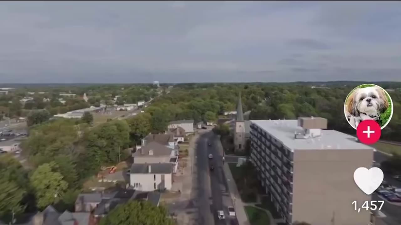 Police Chief of Tremont City Ohio tells you what is happening in Springfield.