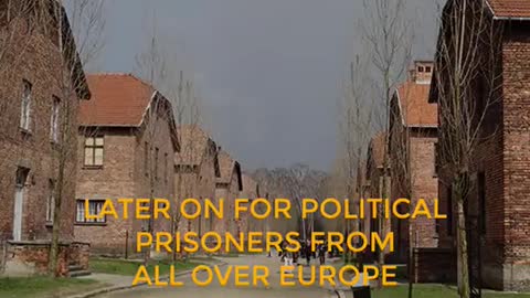 Auschwitz prawda która ma pójść w świat