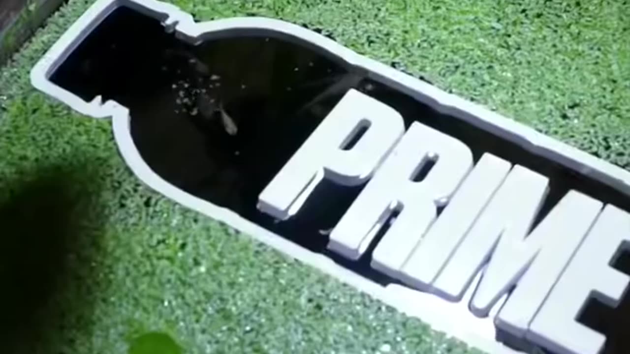 PRIME PRIME PRIME PRIME PRIME PRIME