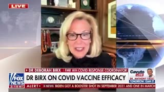 Dr Deborah Birx on the Covid Vaccine 💉