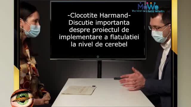 O primarita flatulata