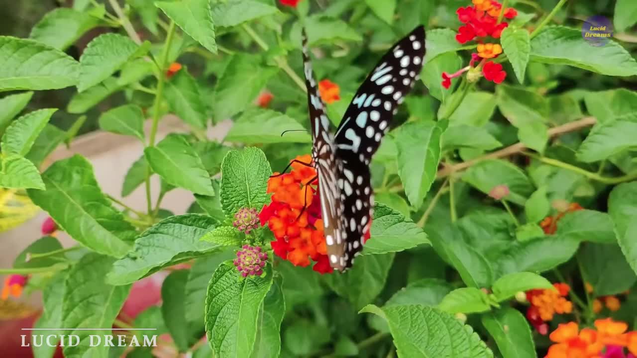 Something special that will touch your heart