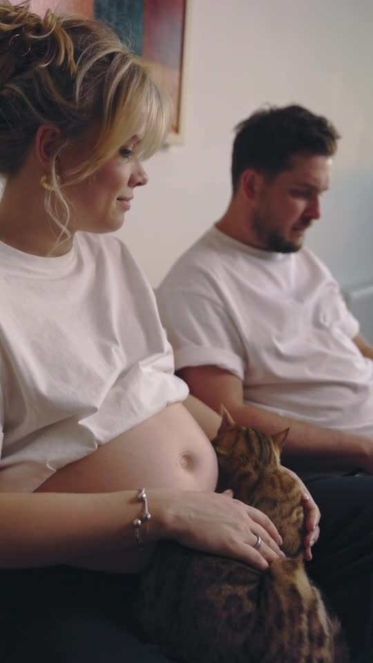 Funny and Cute Cat Videos - Cats and Owners are the best friends