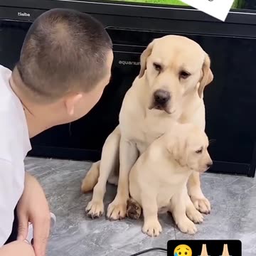 Mother Love❤️❤️❤️❤️😍 dont skip