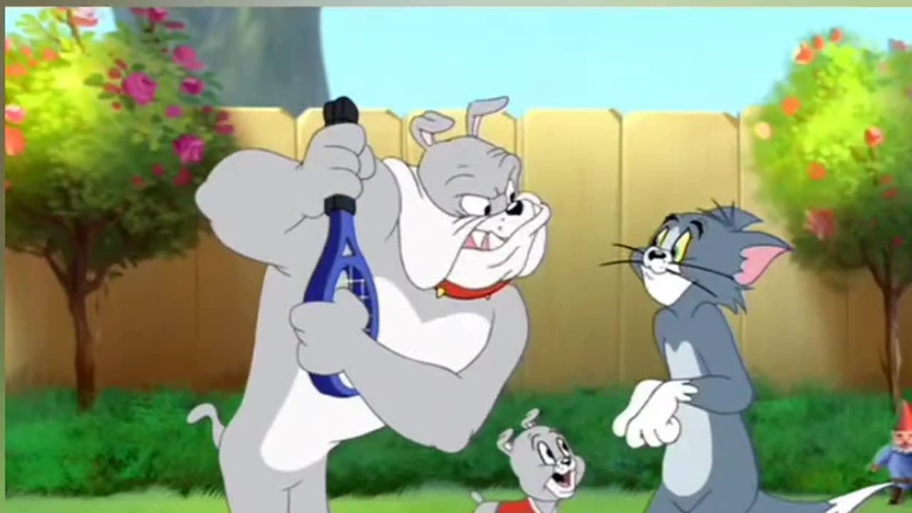 Tom and Jerry Lovers | Funny Cartoon Videos | Tom and Jerry