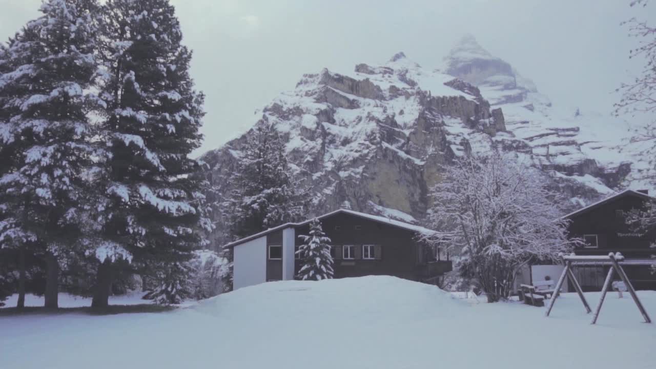 Houses in a forest during winter