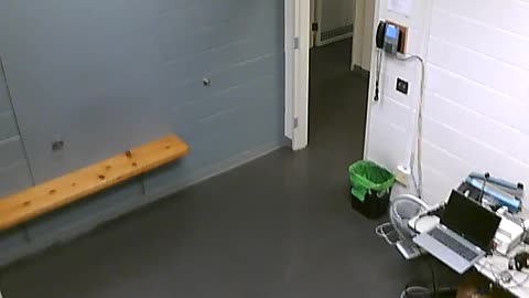 1700HQOB02208ALiveScanRoom_2021-01-06_17h20min03s870ms.mp4