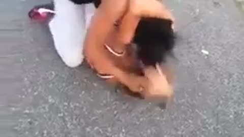 Girl fight video