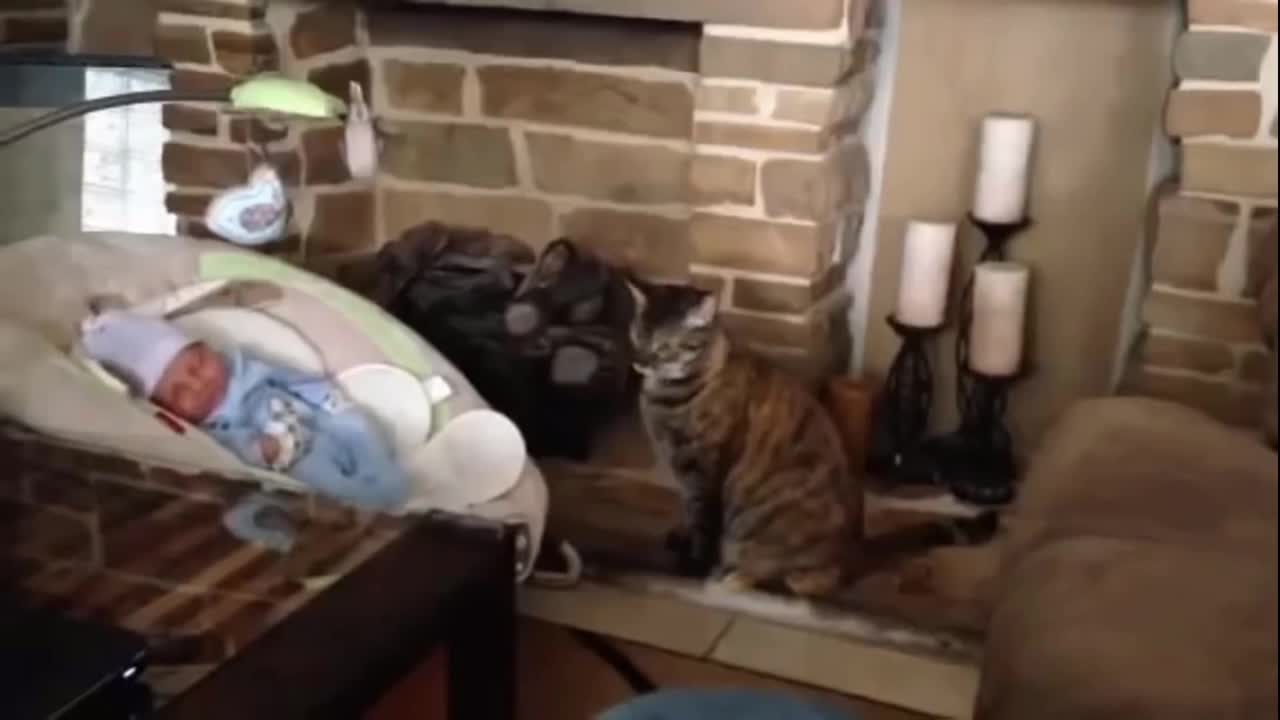 Cute baby is welcomed and pampered by a cat #3 - extremfunnystuff