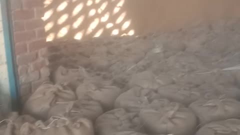 Rice farmour
