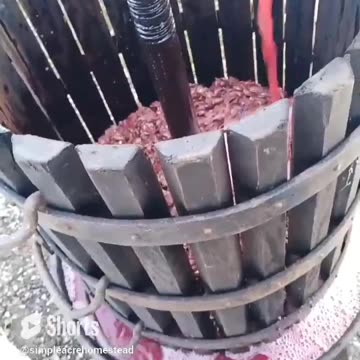 Continuation of the grape wine process #homesteading