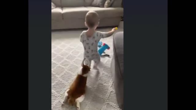 Funny and fails my baby and my cat