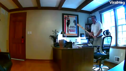 Guy freaks out when a squirrel comes into his office.