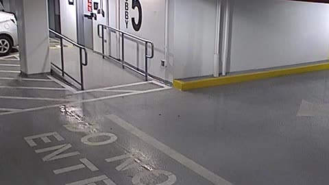 6080RHOBG3G305ANorthLobbyEntry_2021-01-06_14h20min03s253ms.mp4