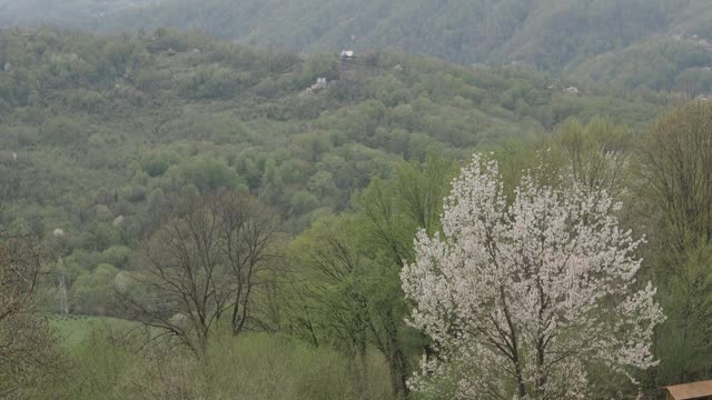 sheep-grazing-on-farmland