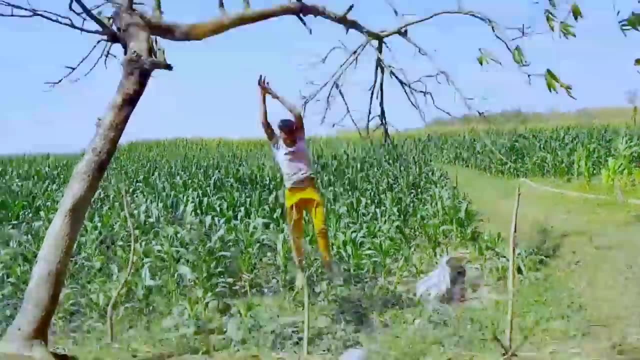 must watch new funny 😂 😂 comedy video 2020 best amazing comedy videos 2023