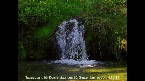 Tageslosung für Donnerstag, den 30. September, zu Joh. 4,15-18