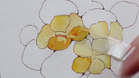 [Watercolor painting] Botanical painting nasturtium 3