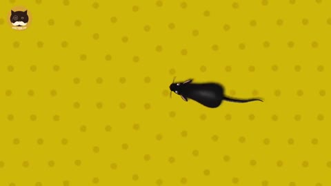 JEUX DE CHATS - Attrapez les souris ! Vidéo de divertissement pour les chats à regarder.