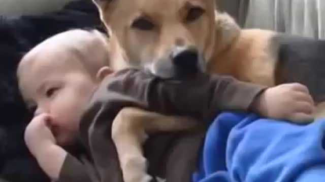 dog hugging baby Baby