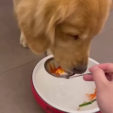 Hey, that's my fish!