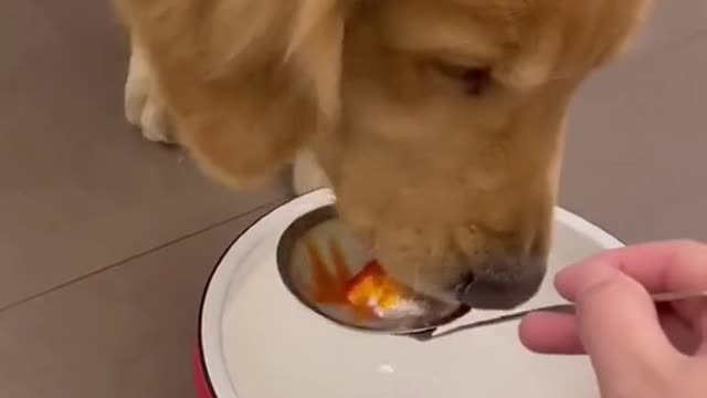 Hey, that's my fish!